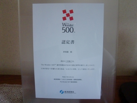 the Wonder 500認定書