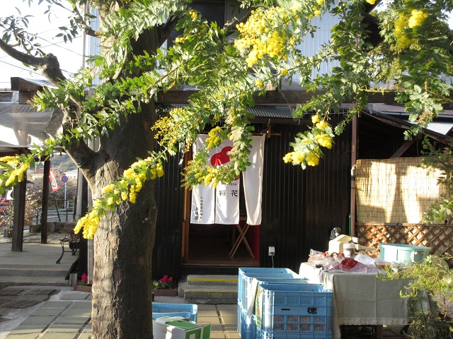 昇珠園のお店”梅花”
