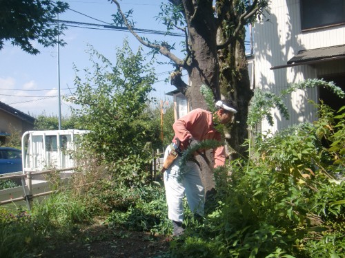 CIMG9320.JPG