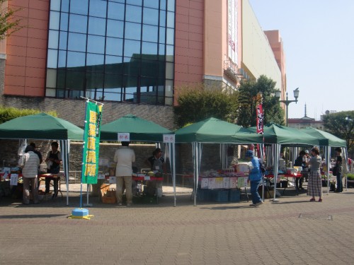 CIMG9358.JPG