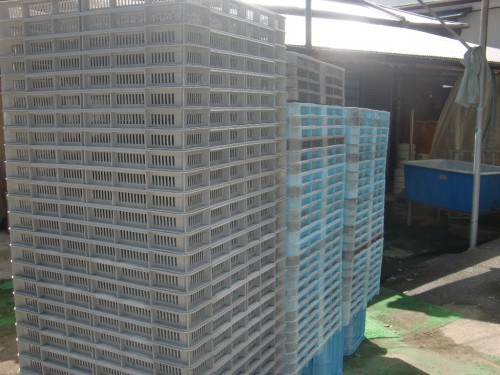 CIMG9372.JPG