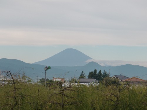 CIMG9383.JPG