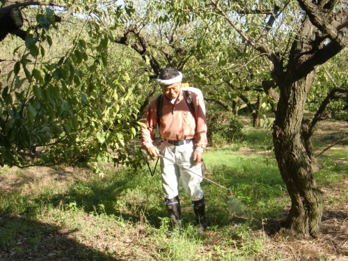 CIMG9421.JPG