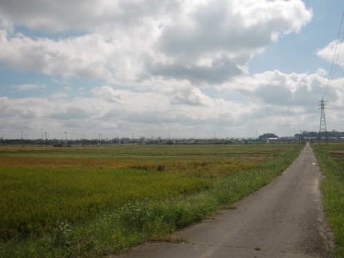 CIMG9547.JPG