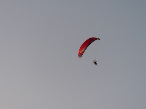 CIMG9890.JPG