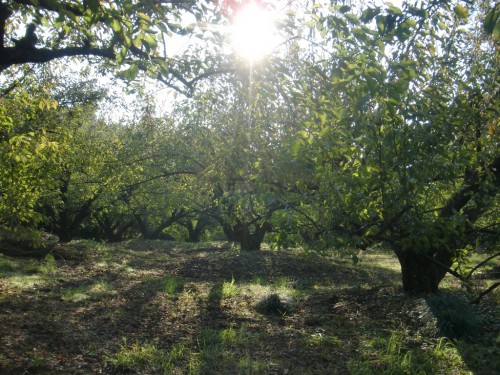 CIMG9909.JPG