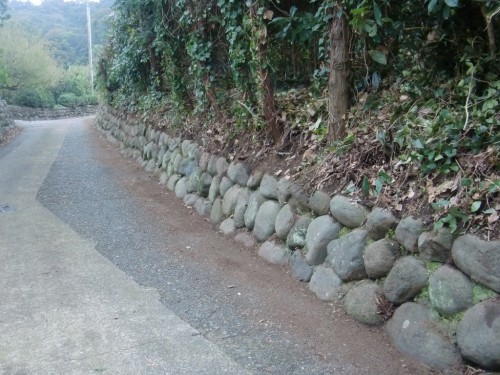 CIMG9922.JPG