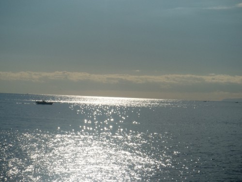 CIMG0334