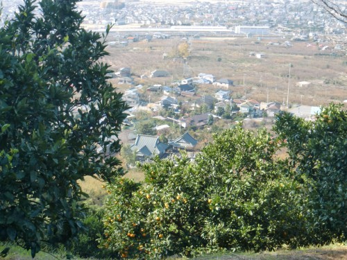 CIMG0397