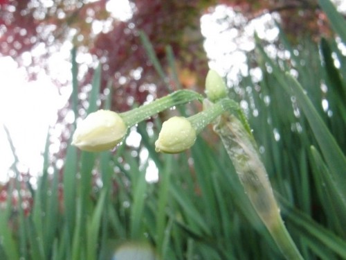 CIMG0486