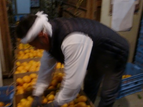 CIMG0492