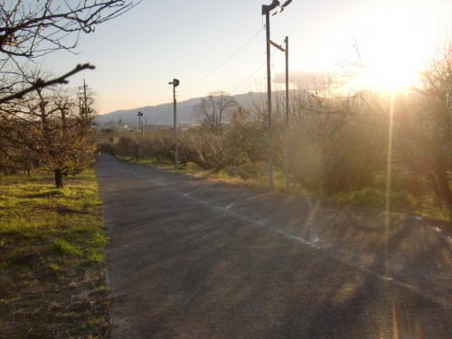 CIMG0553