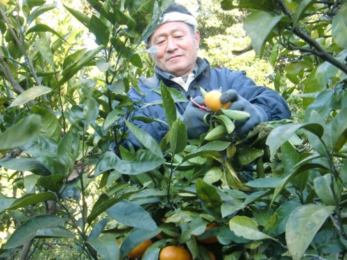 CIMG0558