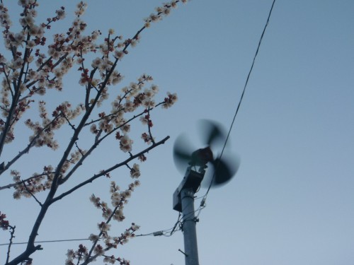 防霜ファン