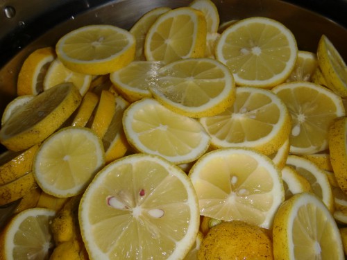 自家農園　無農薬レモン