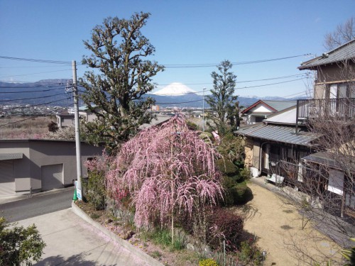 3月6日