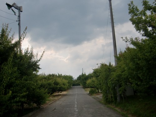 CIMG2865