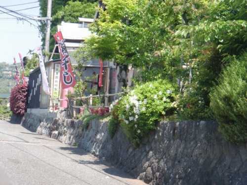昇珠園　梅花